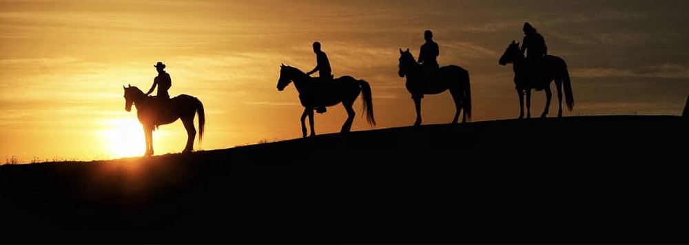 Horseback Riding